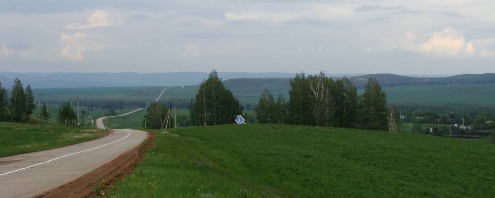 
            Фотография Алкино