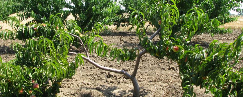 
            Фотография Прогресса