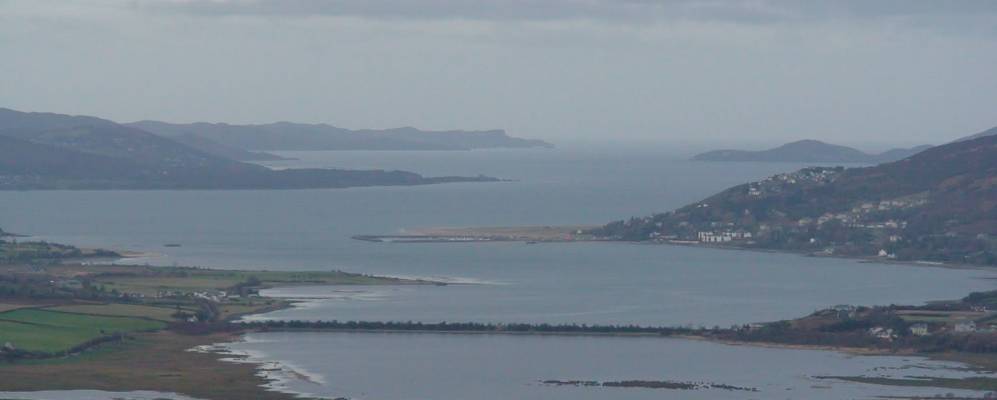 
            Фотография Спиноджа