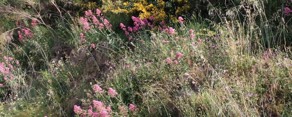 
            Фотография Бардино Веккьо