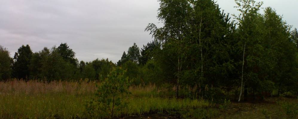 
            Фотография деревни Зыки