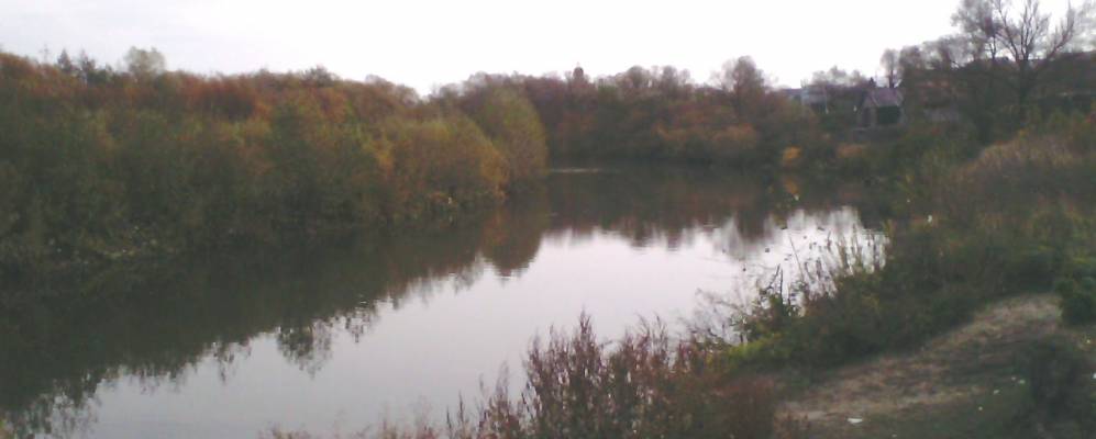 
            Фотография Боровой