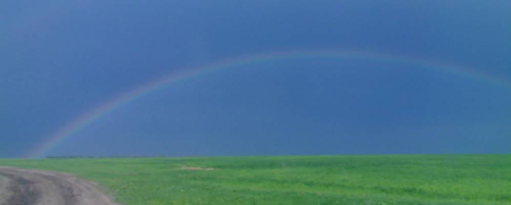 
            Фотография Боблова