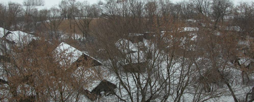 
            Фотография Камышей