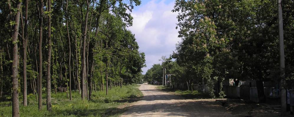 
            Фотография Галицы