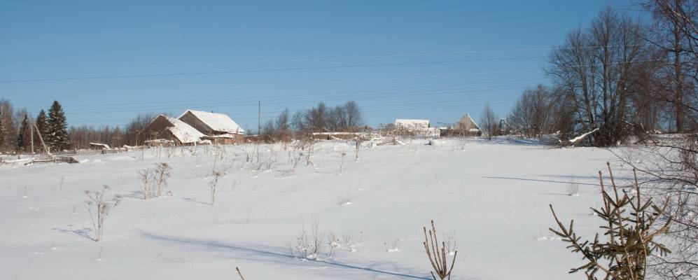 Фотография Крысановых