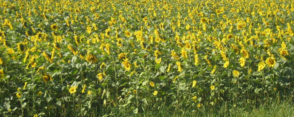 
            Фотография Затишья