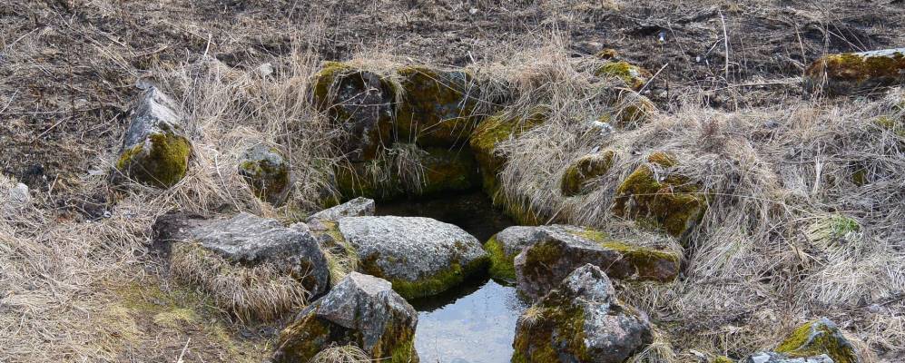 
            Фотография Иванщины