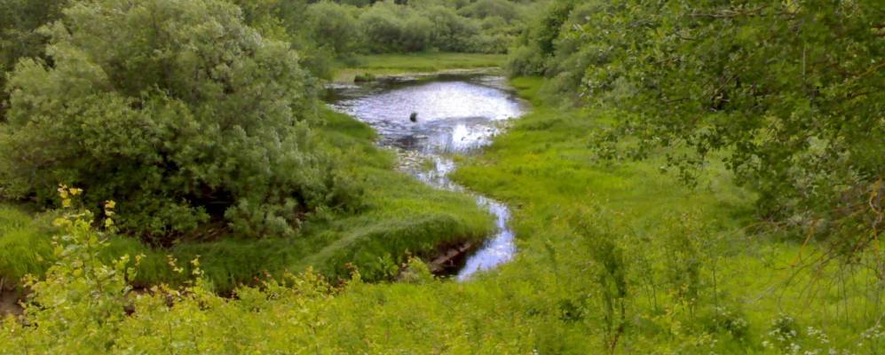 Фотография Федотово-Харитово