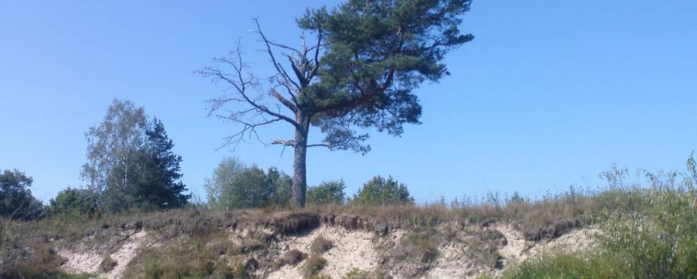 
            Фотография Лукавицы