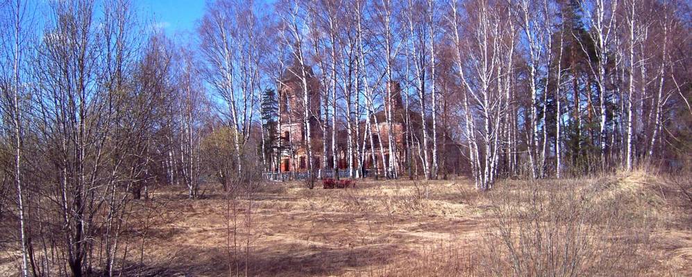 
            Фотография Серковки