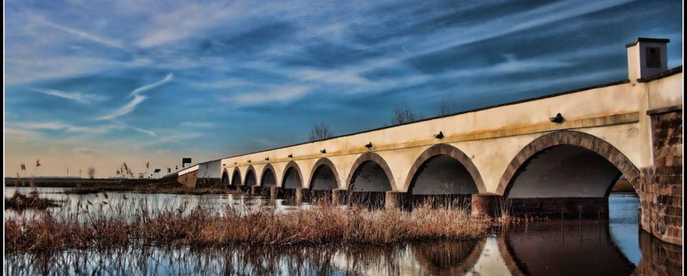 
            Фотография Хортобаги