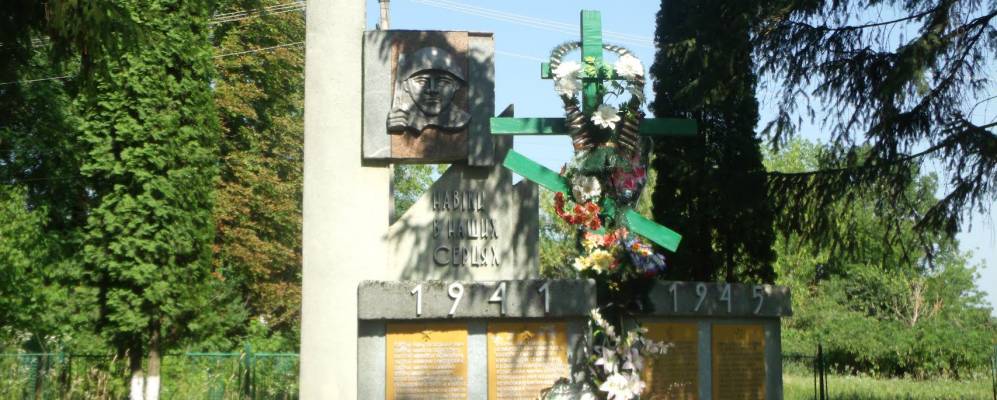 
            Фотография Куровечки