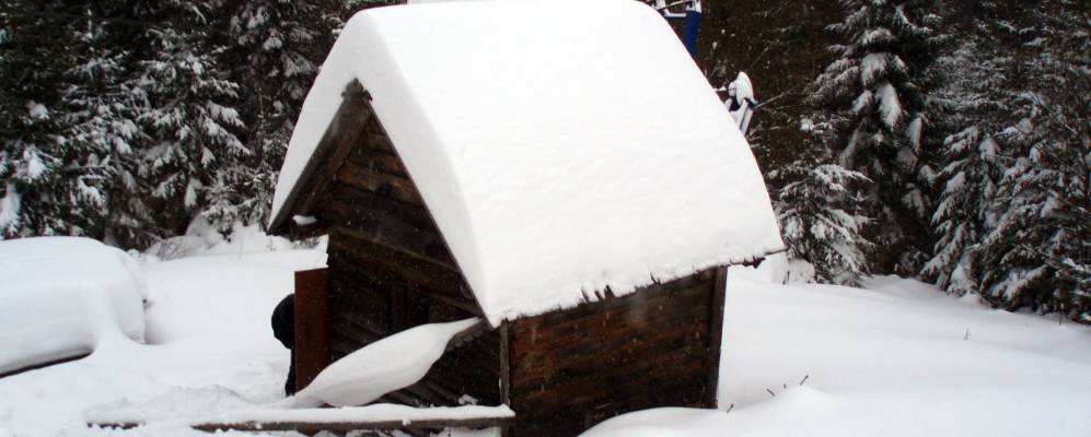 
            Фотография Тисовца