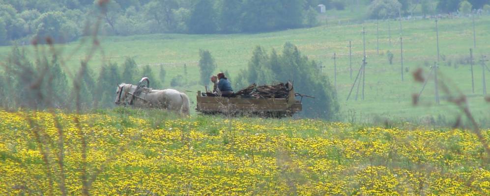 
            Фотография деревни Судники