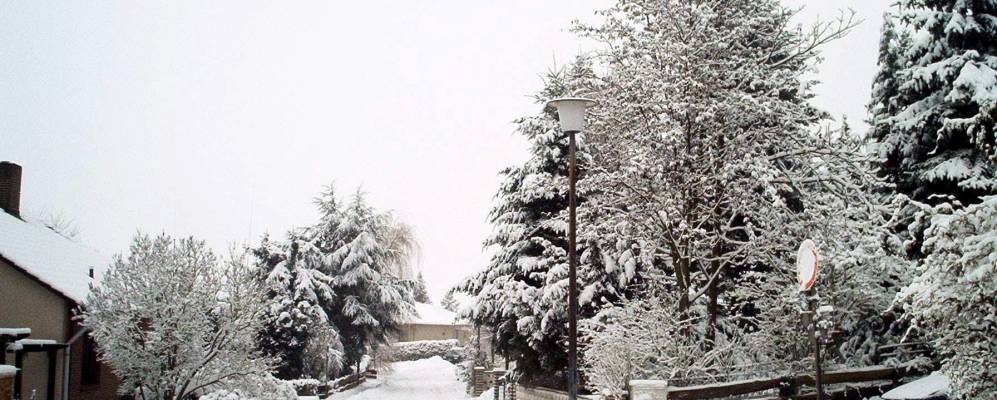 
            Фотография Ниденштайна