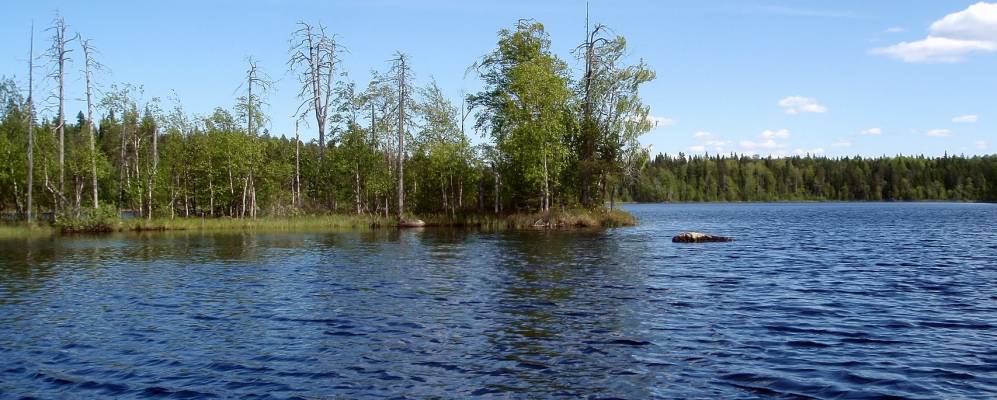 
            Фотография Зари