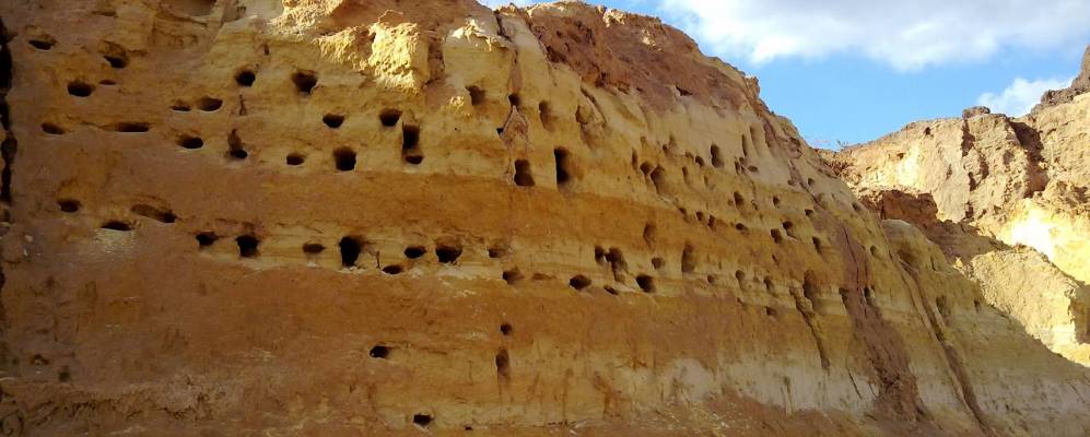 
            Фотография Красного Пахаря