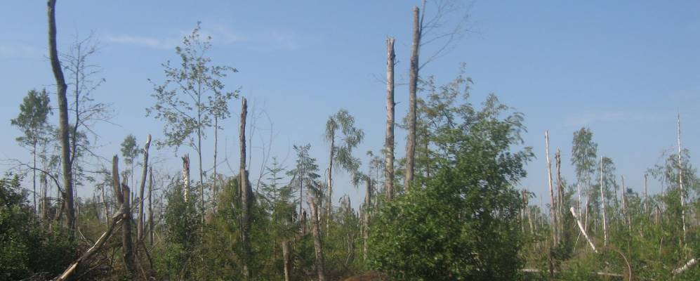 
            Фотография Яковлевки