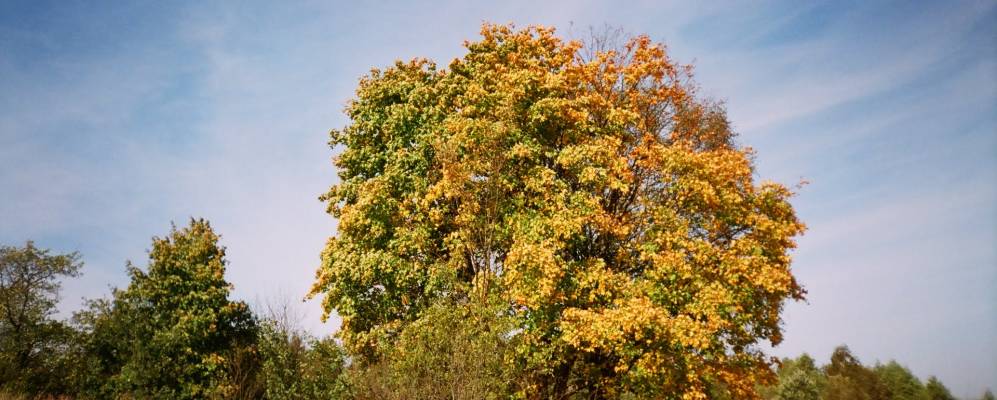 
            Фотография Хопалово