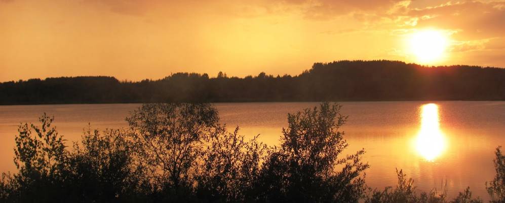 
            Фотография Селища