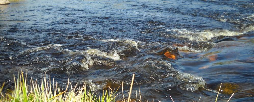 
            Фотография Звенячего