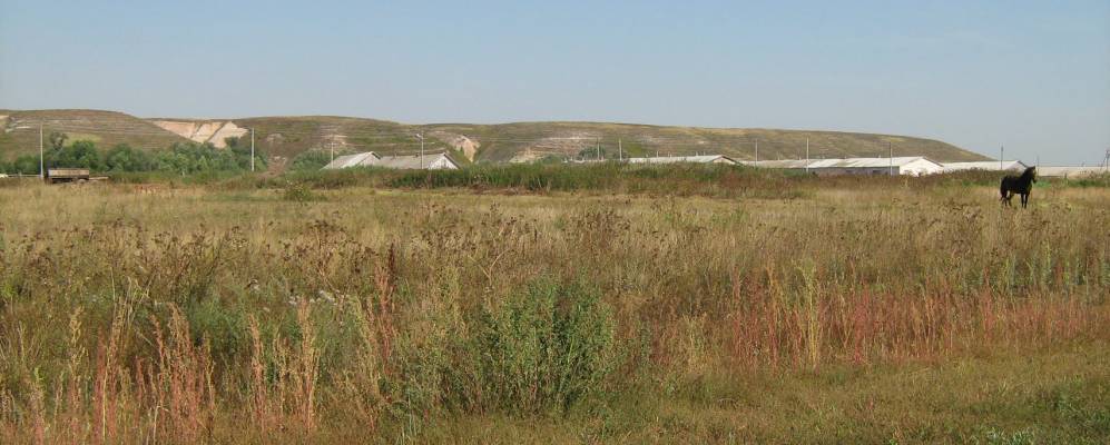 
            Фотография Соснового Мыса