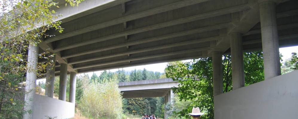 
            Фотография Таннера