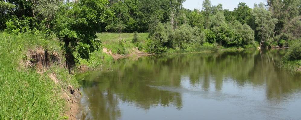 
            Фотография Верхней Солонцовки