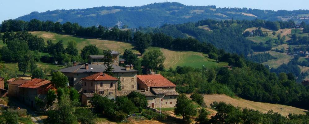 
            Фотография Полинаго