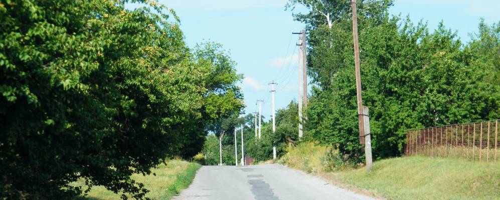 
            Фотография Мотрино