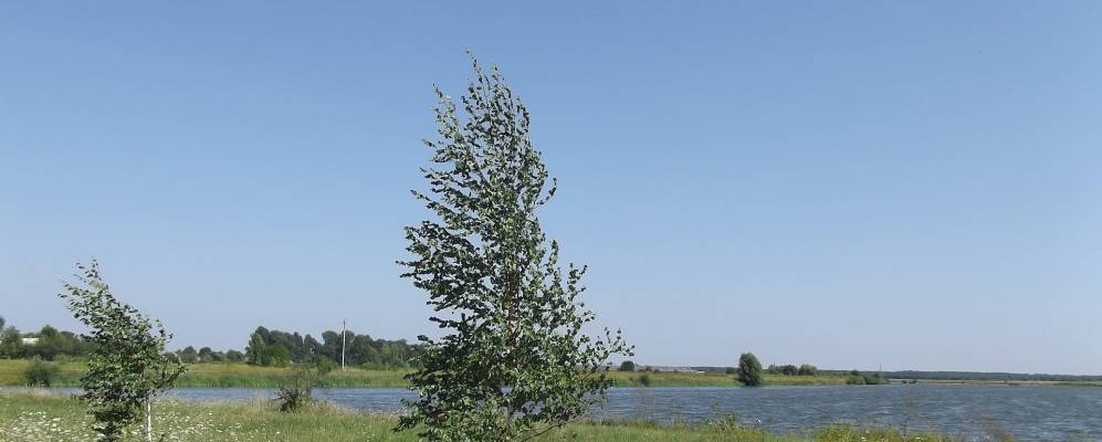 
            Фотография Кроватки