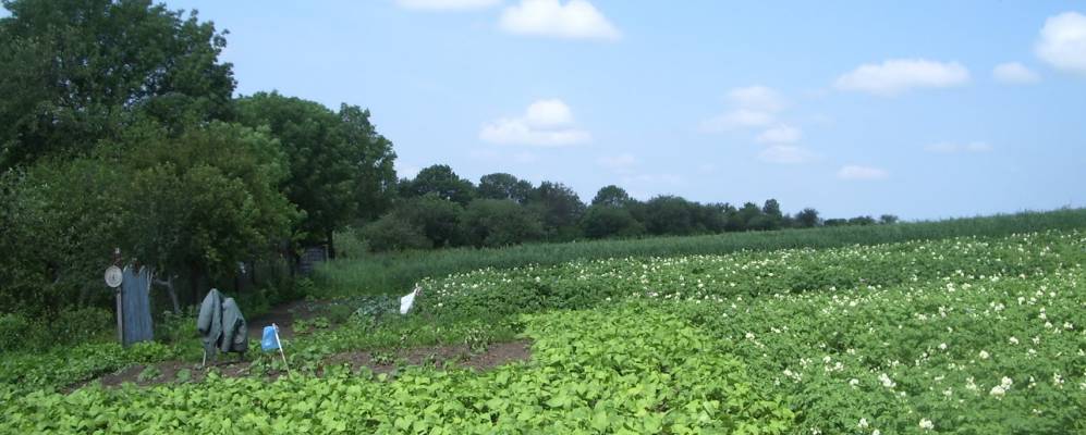 
            Фотография Базара