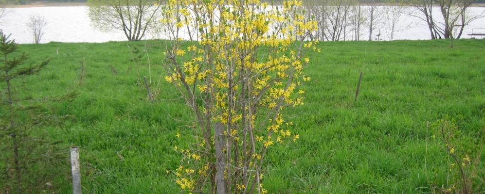 
            Фотография Малого Мельничного