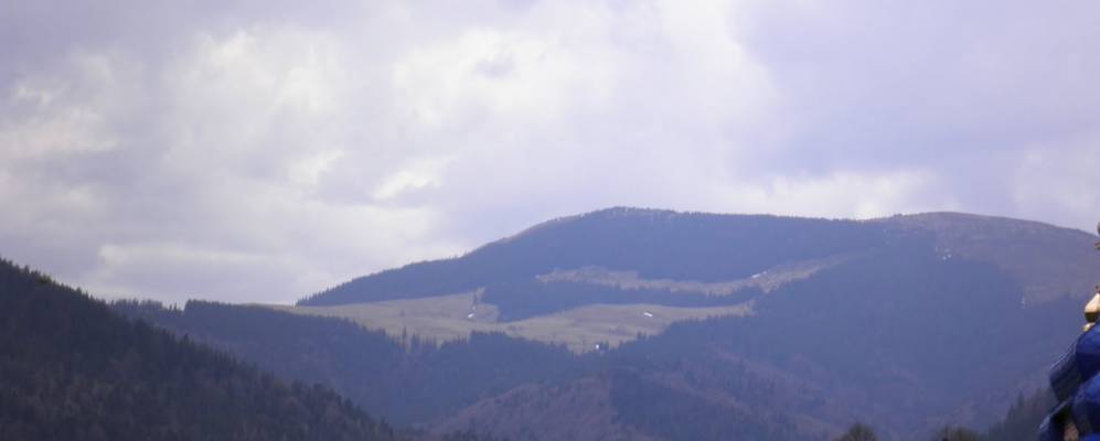 
            Фотография Сеньковского