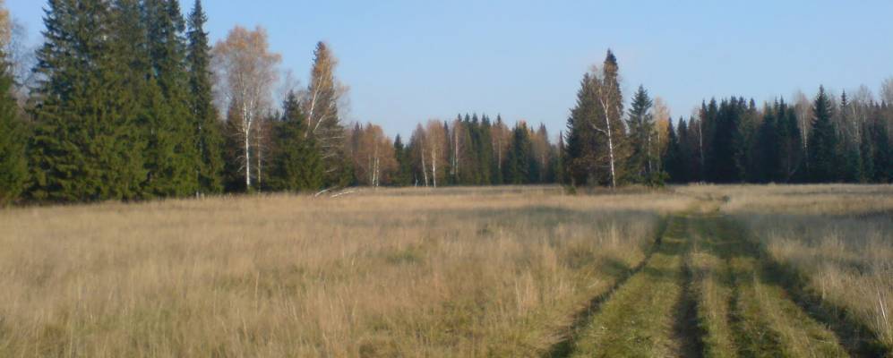 
            Фотография при ст. Кутамыш