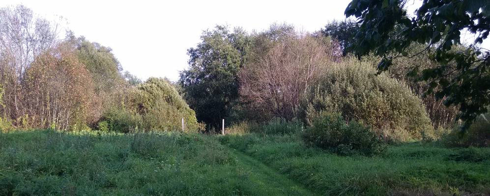 Фотография Ярцево