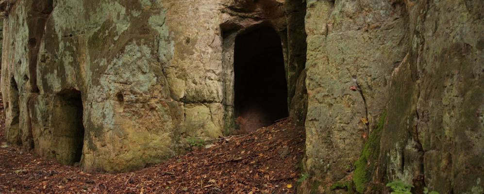 
            Фотография Дайнинга