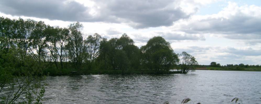 Фотография Вишнёвца