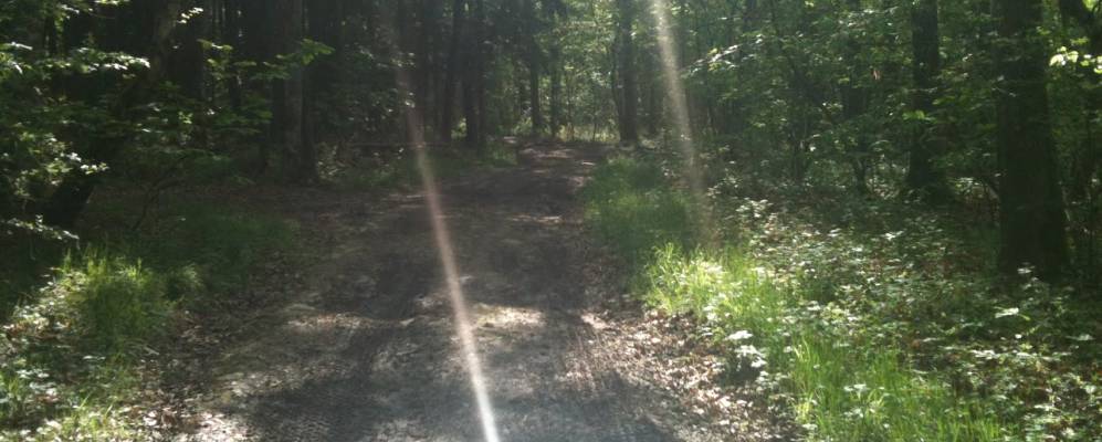 
            Фотография Малэ-ле-Грана