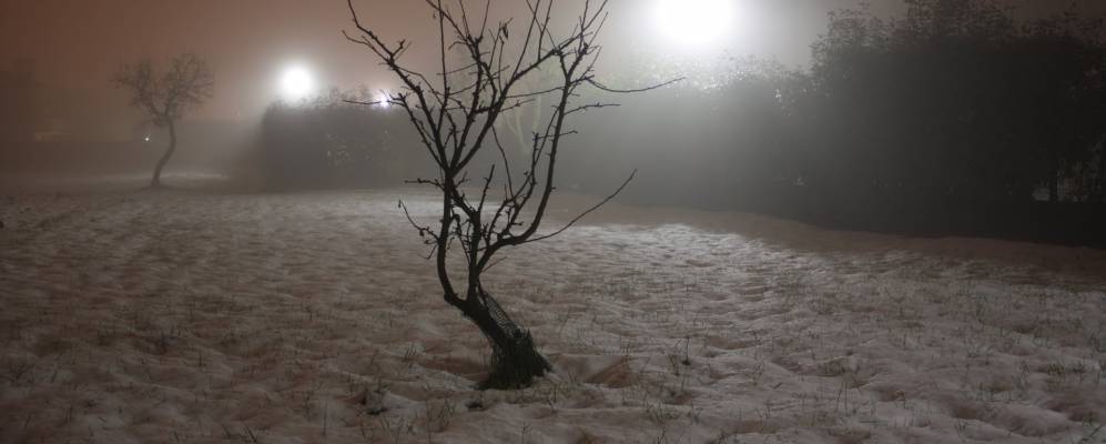 
            Фотография Массанцаго