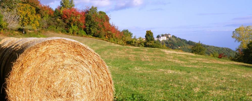 
            Фотография Монтефьорино