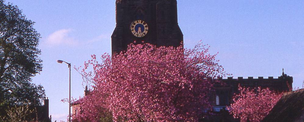 
            Фотография Бедейла