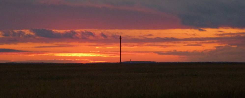 
            Фотография Журавки