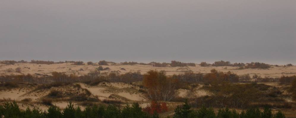 Фотография Сигаевского