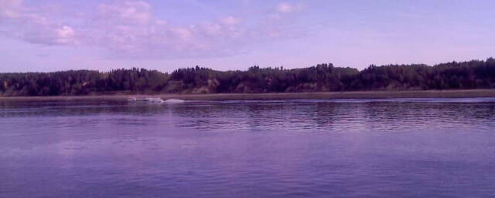 
            Фотография Морохово