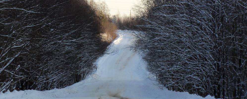 Фотография Цепелей