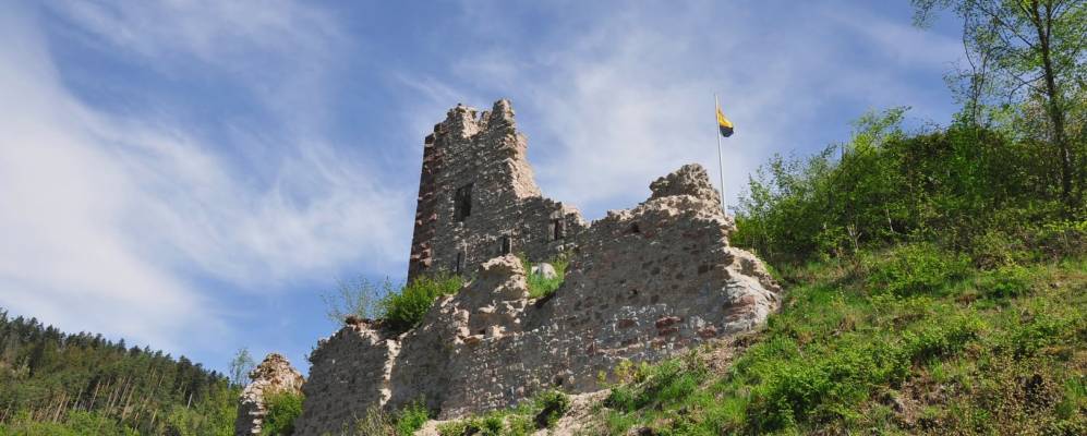 
            Фотография Шенкенцелль