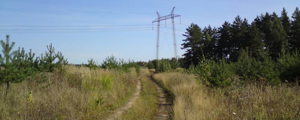 
            Фотография Выездного