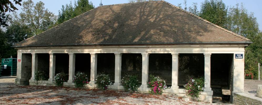 
            Фотография Фронкля